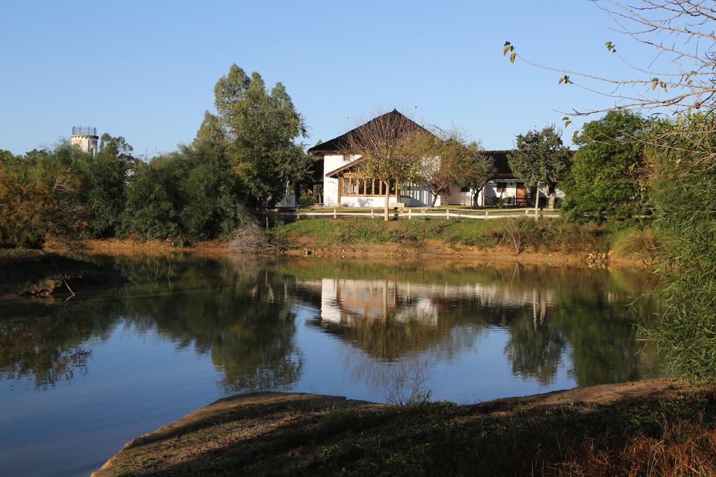 Hotel Ardea Purpurea Villamanrique De La Condesa Exterior foto