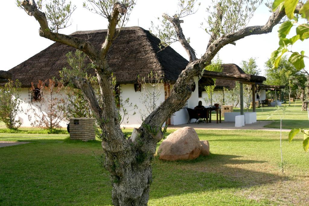 Hotel Ardea Purpurea Villamanrique De La Condesa Exterior foto